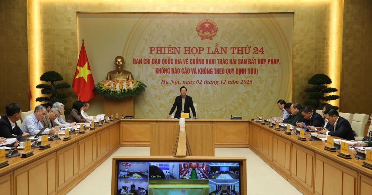 Le vice-Premier ministre Tran Hong Ha s'exprime lors de la réunion. Photo : VNA. 