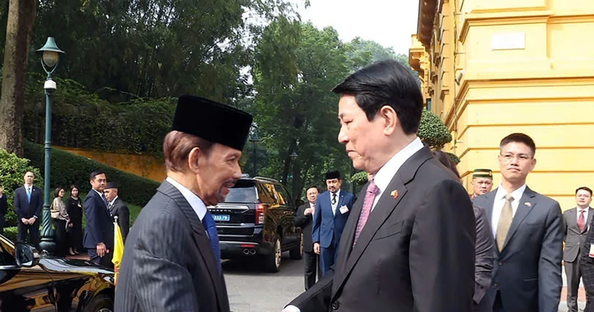 Le président Luong Cuong accueille le sultan de Brunei, Haji Hassanal Bolkiah. Photo : VNA. 