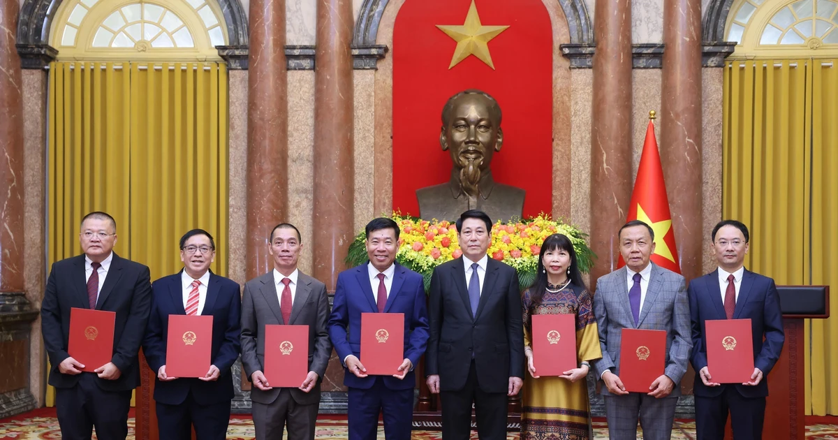 Remise de décissions à des nouveaux ambassadeurs. Photo : VNA. 