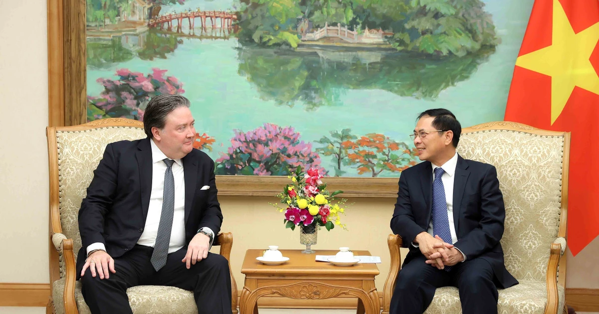 Le 23 octobre, au siège du gouvernement à Hanoï, le vice-Premier ministre Bui Thanh Son (droite) a rencontré Marc E. Knapper, ambassadeur des États-Unis au Vietnam. Photo: VNA. 