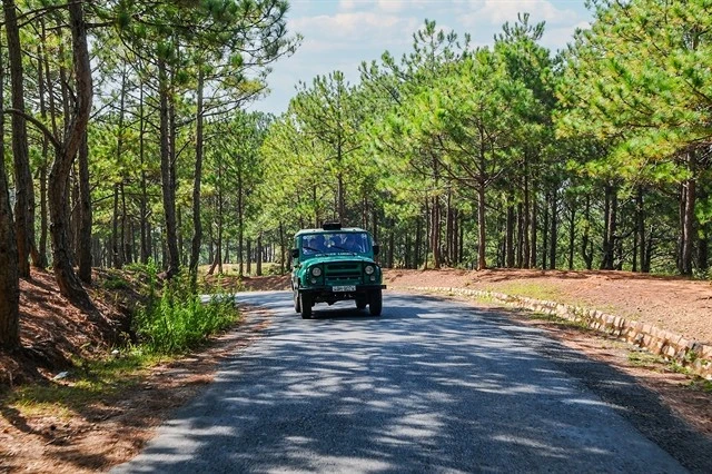 Mui Ne et Da Lat : destinations phares pour les vacances du Nouvel An