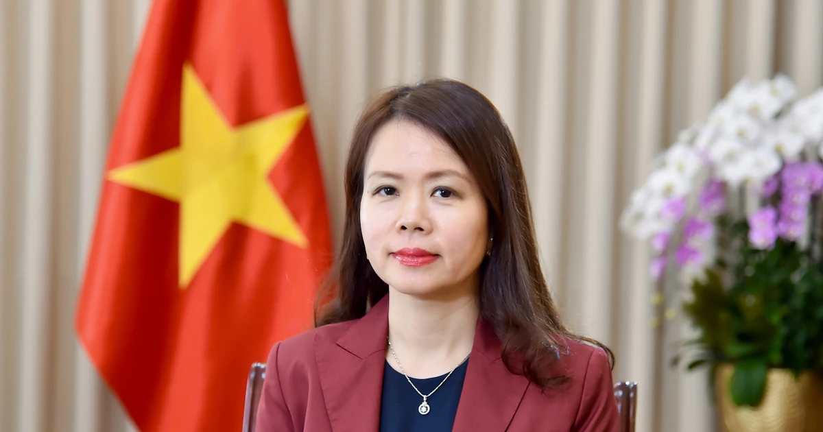 La vice-ministre vietnamienne des Affaires étrangères, Nguyen Minh Hang. Photo: VNA 