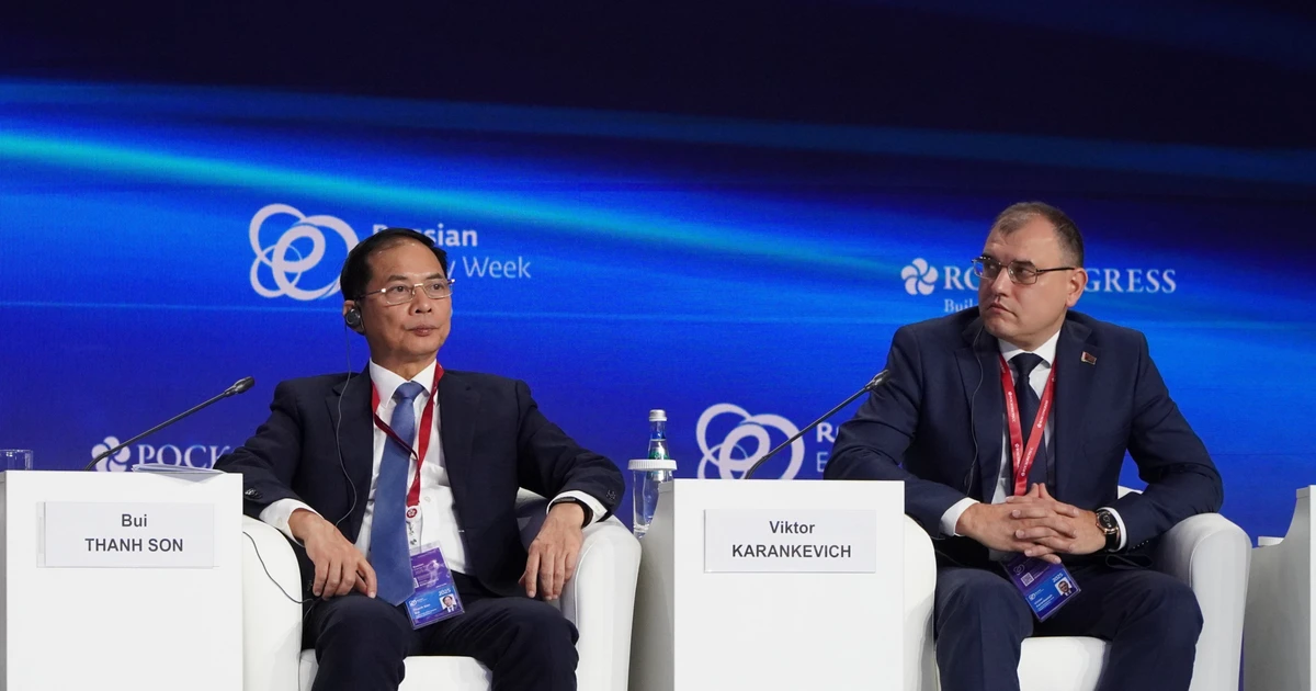 Le vice-Premier ministre Bui Thanh Son lors du forum. Photo : VNA.