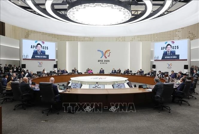 Le président Luong Cuong participe à la 32ᵉ Semaine des dirigeants économiques de l'APEC. Photo : VNA.