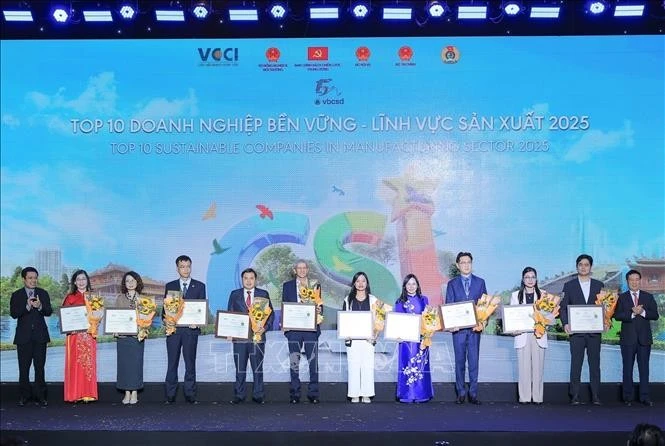 Le vice-Premier ministre Ho Duc Phoc et Ho Sy Hung, président de la hambre de Commerce et d'Industrie du Vietnam honorent dé représentants des 100 entreprises les plus durables du pays. Photo : VNA.