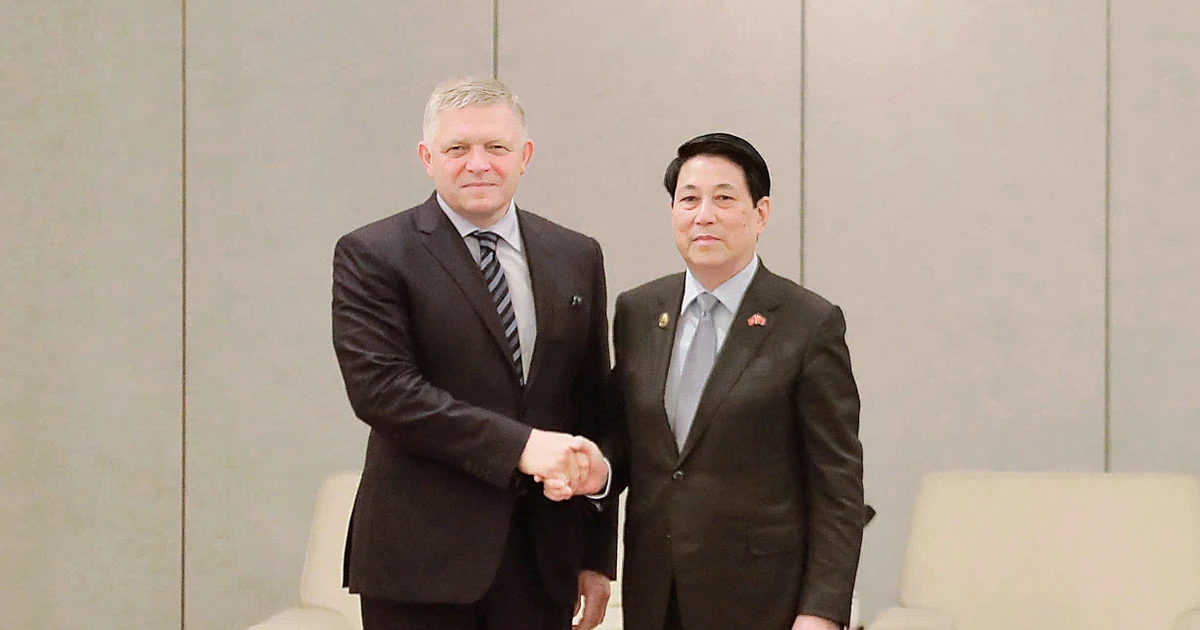 Le président vietnamien Luong Cuong (droite) et le Premier ministre slovaque, Robert Fico. Photo : VNA. 