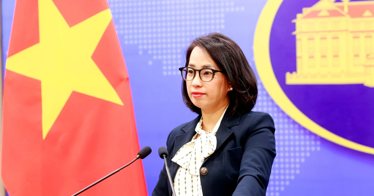 La porte-parole du ministère des Affaires étrangères, Pham Thu Hang. Photo : VNA.