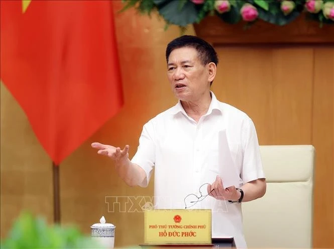 Le vice-Premier ministre Ho Duc Phoc. Photo : VNA.