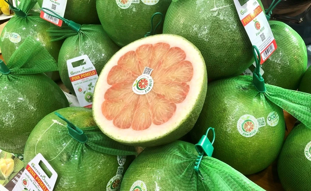 Le pamplemousse devient le huitième fruit vietnamien autorisé à accéder au marché australien. Photo: VNA 