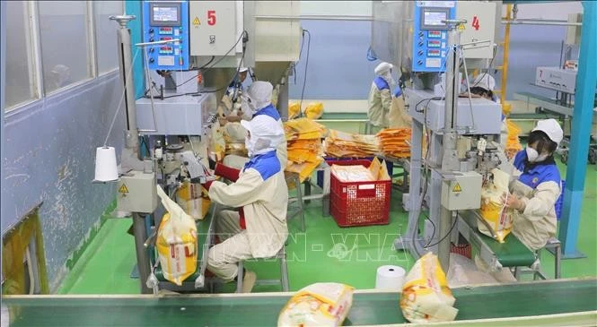 Conditionnement de riz destiné à l'exportation à l'usine de Thao Son Foodstuff, filiale du groupe Loc Troi. Photo : VNA.