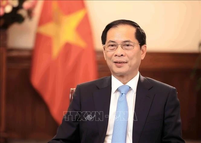 Le vice-Premier ministre et ministre vietnamien des Affaires étrangères, Bui Thanh Son. Photo : VNA. 