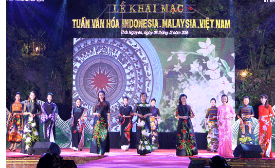 Ouverture de la Semaine culturelle Malaisie-Indonésie-Vietnam à Thai Nguyen ảnh 1 Ouverture de la Semaine culturelle Malaisie-Indonésie-Vietnam à Thai Nguyen ảnh 1