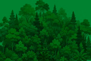 Pour une civilisation écologique, un Vietnam vert et un océan pacifique et durable 
