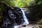 Bach Ma, entre forêts luxuriantes et cascades cristallines