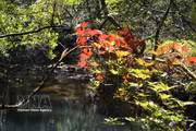 Hue : Concilier conservation et développement de l’écotourisme au parc national de Bach Ma