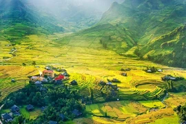 La nature se fait artiste dans le district de Mai Châu, province de Hoa Binh, au mois de juin. Photo : Internet