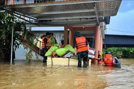 L’étendue des dégâts est apparue au fil de la journée avec l’évacuation d’habitants de leurs maisons inondées, ici dans la province de Bac Ninh. Photo : VNA