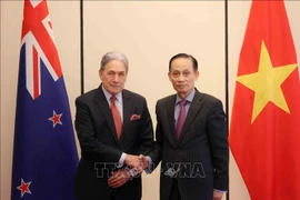Le ministre des Affaires étrangères, Lê Hoài Trung (à droite) et son homologie néo-zélandais Winston Peters, à Hanoi, le 26 novembre. Photo : VNA