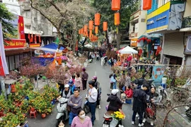 Marché aux fleurs de la rue Hàng Luoc, à Hanoi. Photo : VNA