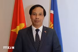 L’ambassadeur du Vietnam au Qatar, Nguyên Huy Hiêp. Photo: VNA