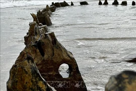 Une épave centenaire refait surface au large de Hôi An après le passage du typhon Kalmaegi. Photo: VNA
