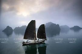 «La baie de Ha Long en 1990», une œuvre de Catherine Karnow à l’exposition «Le Vietnam – 25 ans d’un pays en mutation», à Hanoi, en 2025 Photo : VNP