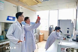 Les projets de documents du 14e Congrès national du Parti soulignent le rôle de l'éducation et de la formation, de la science et de la technologies, et de l'innovation. Photo: VNA