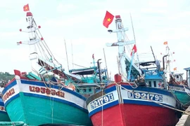 Des bateaux accostent au port de pêche de Ba Tri, commune de Tân Thuy, province de Vinh Long. Photo : baovinhlong.com.vn