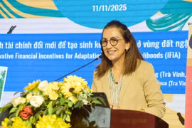 Anupa Rimal Lamichhane, spécialiste principale régionale en matière de changement climatique et d'environnement, Division Asie et Pacifique, présente un aperçu du projet. Photo : baovinhlong.com.vn