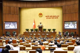 Vue de la séance de l’Assemblée nationale du 13 novembre 2025. Photo : VNA