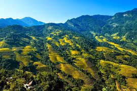 Panorama du parc national de Bat Xat dans la province septentrionale de Lào Cai. vneconomy.vn