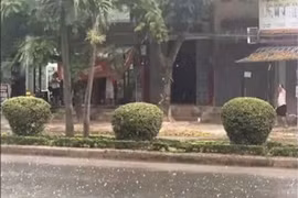 Des billes de glace observées sur des routes de la commune de Doài Phuong, à Hanoi, le 29 mars. Photo : kinhtemoitruong.vn