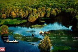 Les écosystèmes du parc national d’U Minh Thuong sont variés. Photo: VNP