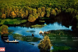 Les écosystèmes du parc national d’U Minh Thuong sont variés. Photo: VNP