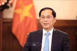 Le vice-Premier ministre et ministre des Affaires étrangères Bui Thanh Son. Photo : VNA