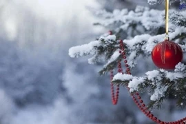 Vague de froid attendue dans le Nord du Vietnam pour Noël 2025. Photo d'illustration: moitruong.net.vn