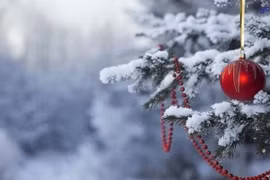 Vague de froid attendue dans le Nord du Vietnam pour Noël 2025. Photo d'illustration: moitruong.net.vn