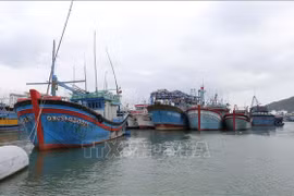 La province de Khanh Hoa surveille de près sa flotte de pêche. Photo : VNA