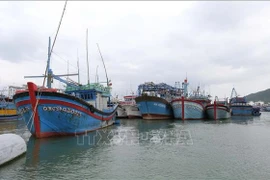 La province de Khanh Hoa surveille de près sa flotte de pêche. Photo : VNA