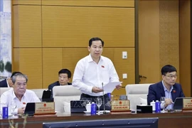 Lê Quang Manh, secrétaire général de l’Assemblée nationale et directeur du Bureau du Conseil électoral national. Photo: VNA