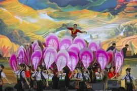 Programme artistique ouvrant la Fête des fleurs de bauhinie 2025. Photo: VNA
