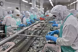 Crevettes transformées pour l’exportation à la Société de fruits de mer Minh Phu. Photo : VNA