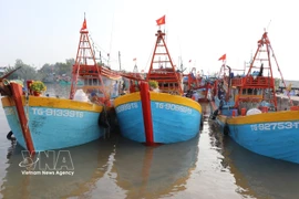 Des bateaux de pêche mouillent au port de pêche de Vàm Lang, commune de Gia Thuân, province de Dông Thap. Photo : VNA