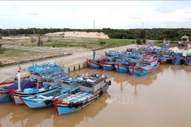 Bateaux de pêche équipés d’équipements de surveillance de croisière dans la province de Quang Binh (Centre). Photo : VNA