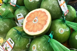 Le pomelo vietnamien arrive sur le marché australien. Photo : VNA