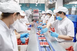 Chaîne de conditionnement de produits de la Compagnie par actions Vissan. Photo : VNA