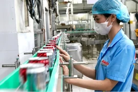 Chez la SARL Tan Quang Minh (Bidrico), à Hô Chi Minh-Ville. Photo : sggp.org.vn