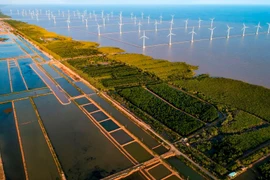 En Asie du Sud-Est, le Vietnam est l’un des premiers pays à avoir choisi la voie de la croissance verte. Photo : TNMT