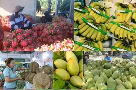 Le Premier ministre ordonne des mesures proactives pour stimuler la consommation de produits agricoles. Photo : VNA