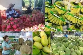 Le Premier ministre ordonne des mesures proactives pour stimuler la consommation de produits agricoles. Photo : VNA